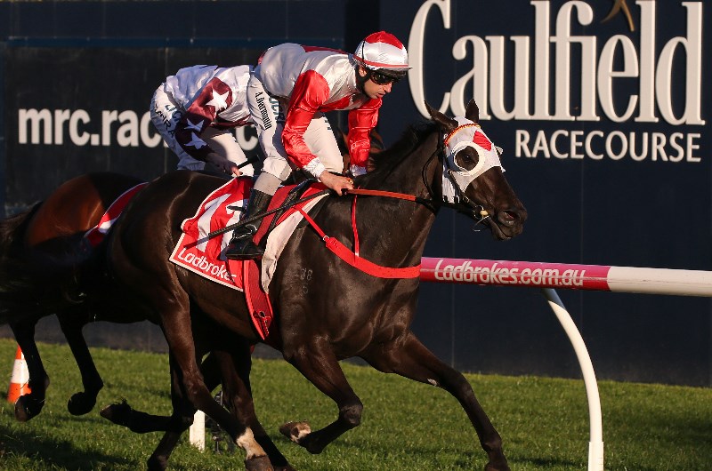 Futurity an option for Mystic Journey return
