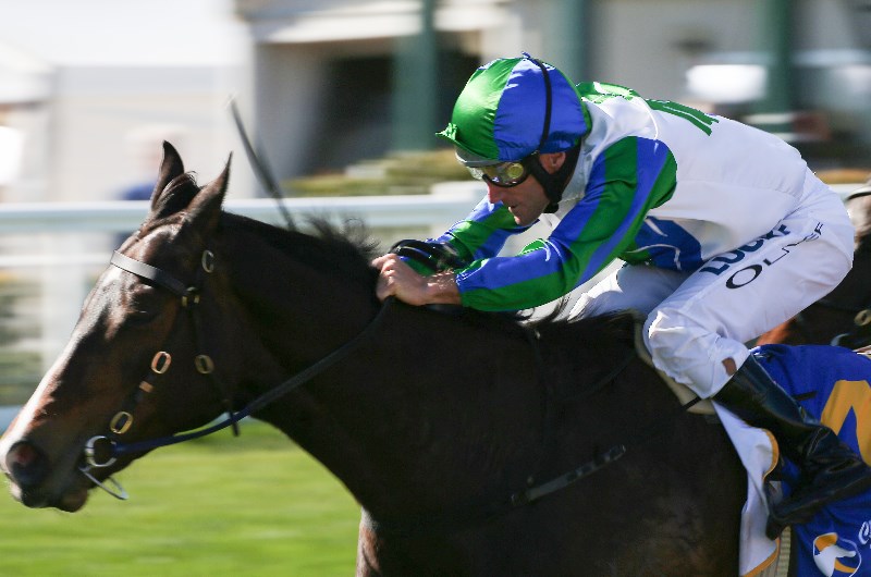 Kensington Stakes return for mare My Pendant