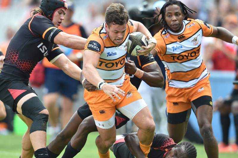 cheetahs vs kings