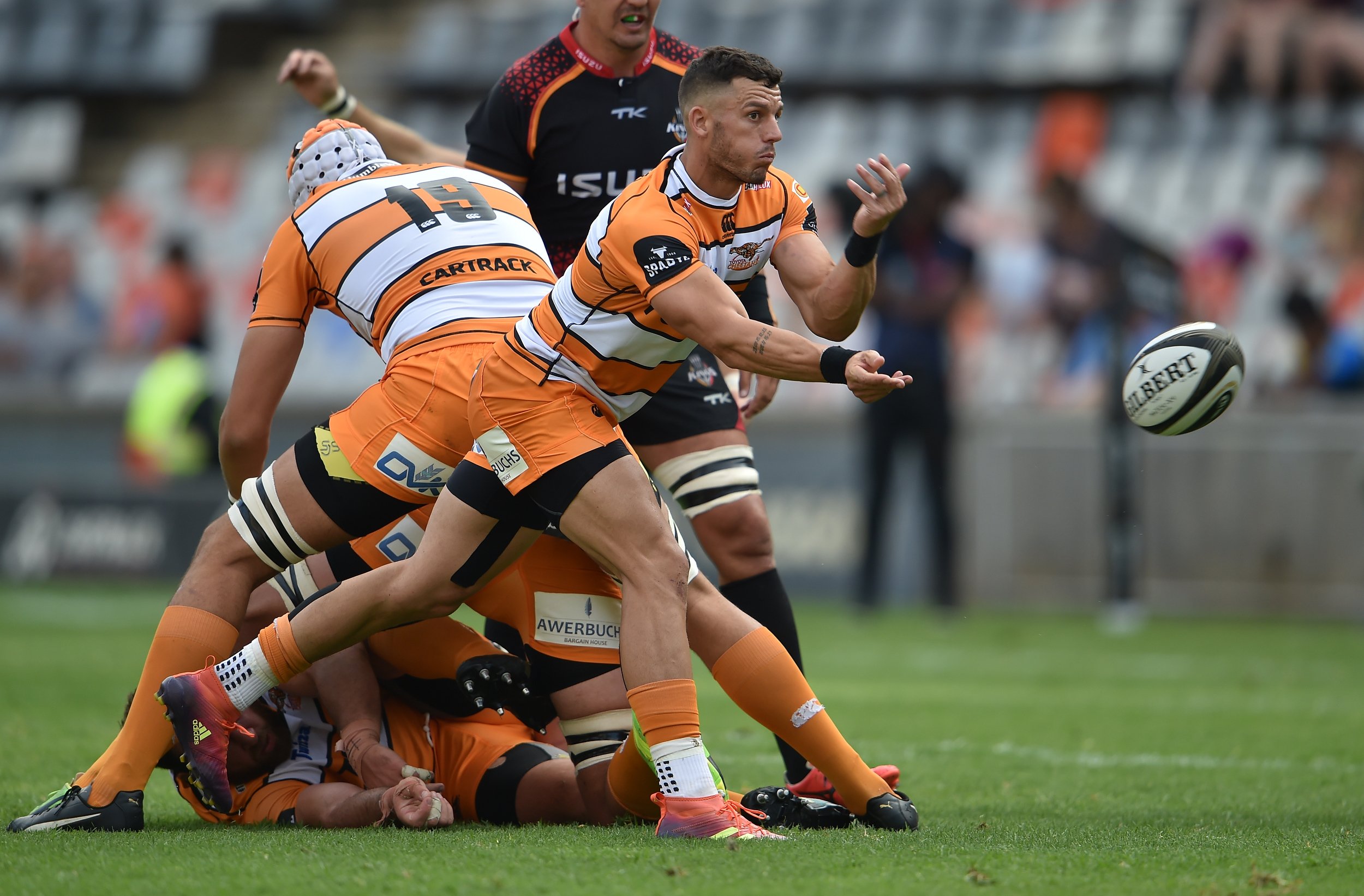 cheetahs rugby