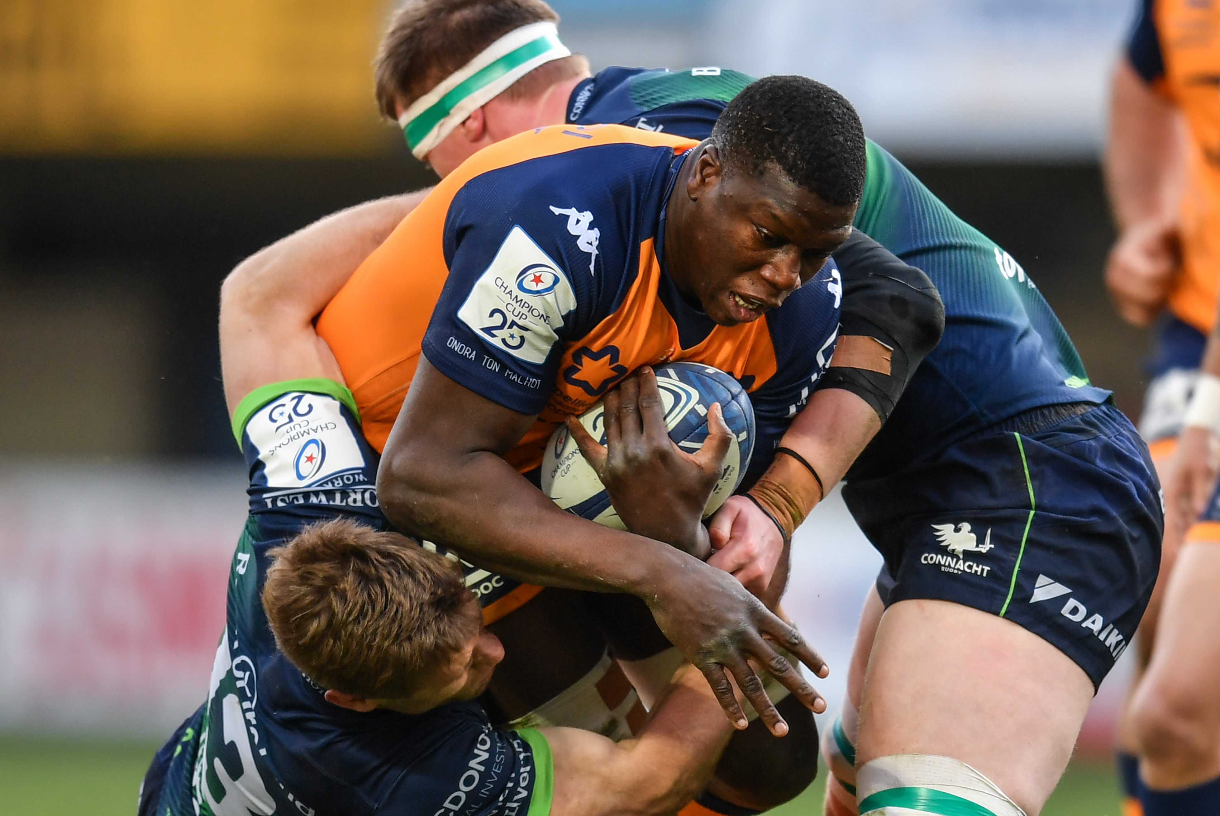 montpellier rugby
