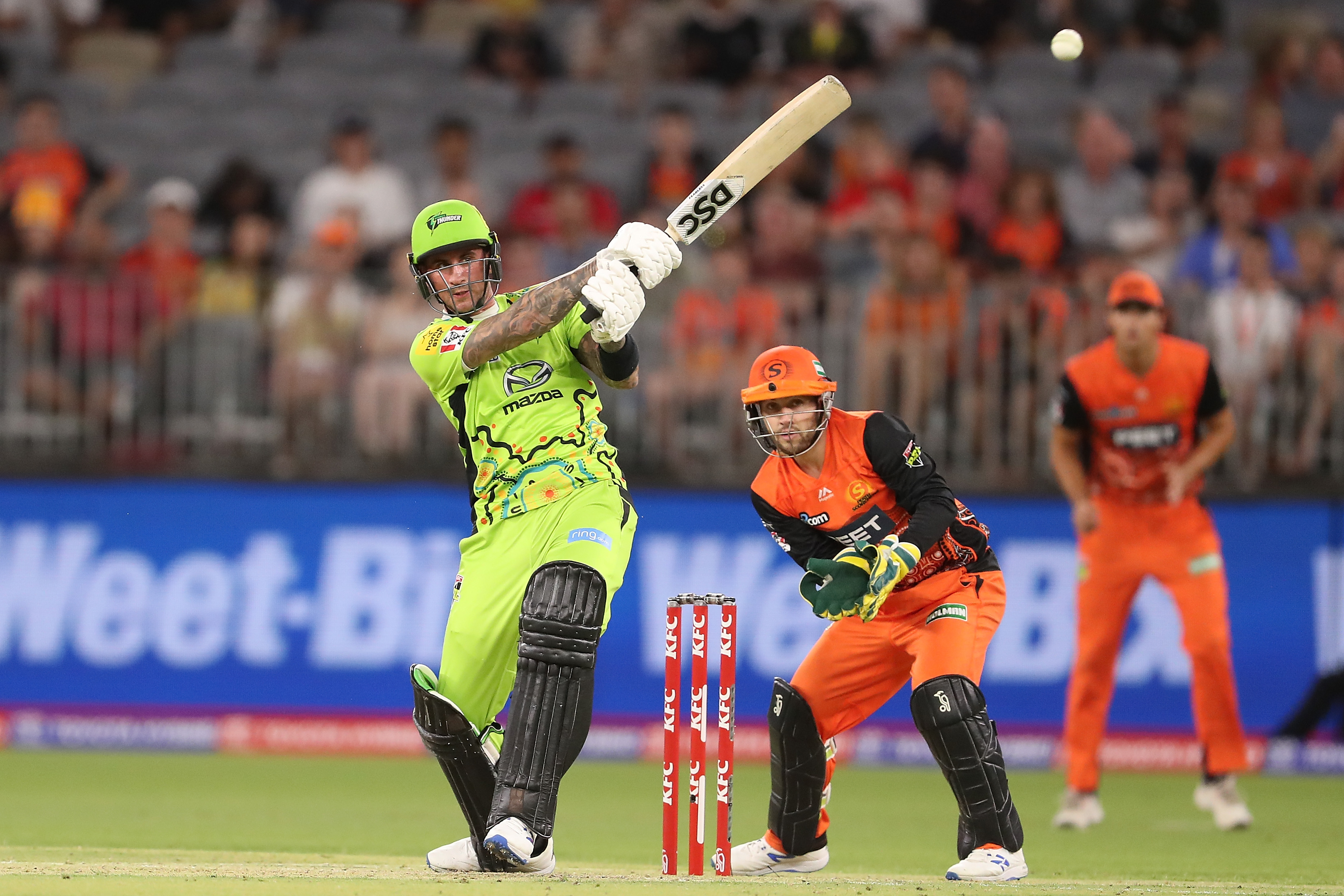 alex hales
