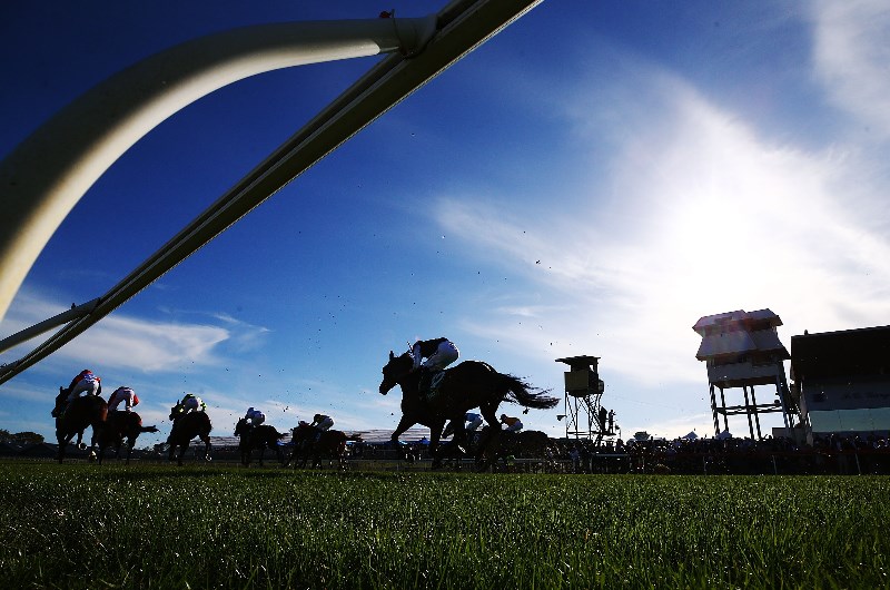geelong racecourse