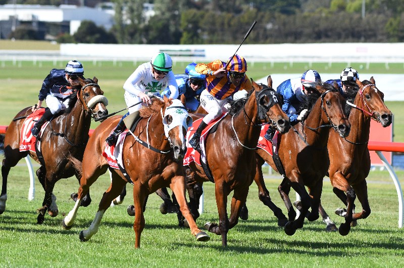 Stony Creek Racing Tips For January 30 2020 Who can stop the