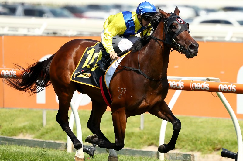 2020 Oakleigh Plate Racing Tips