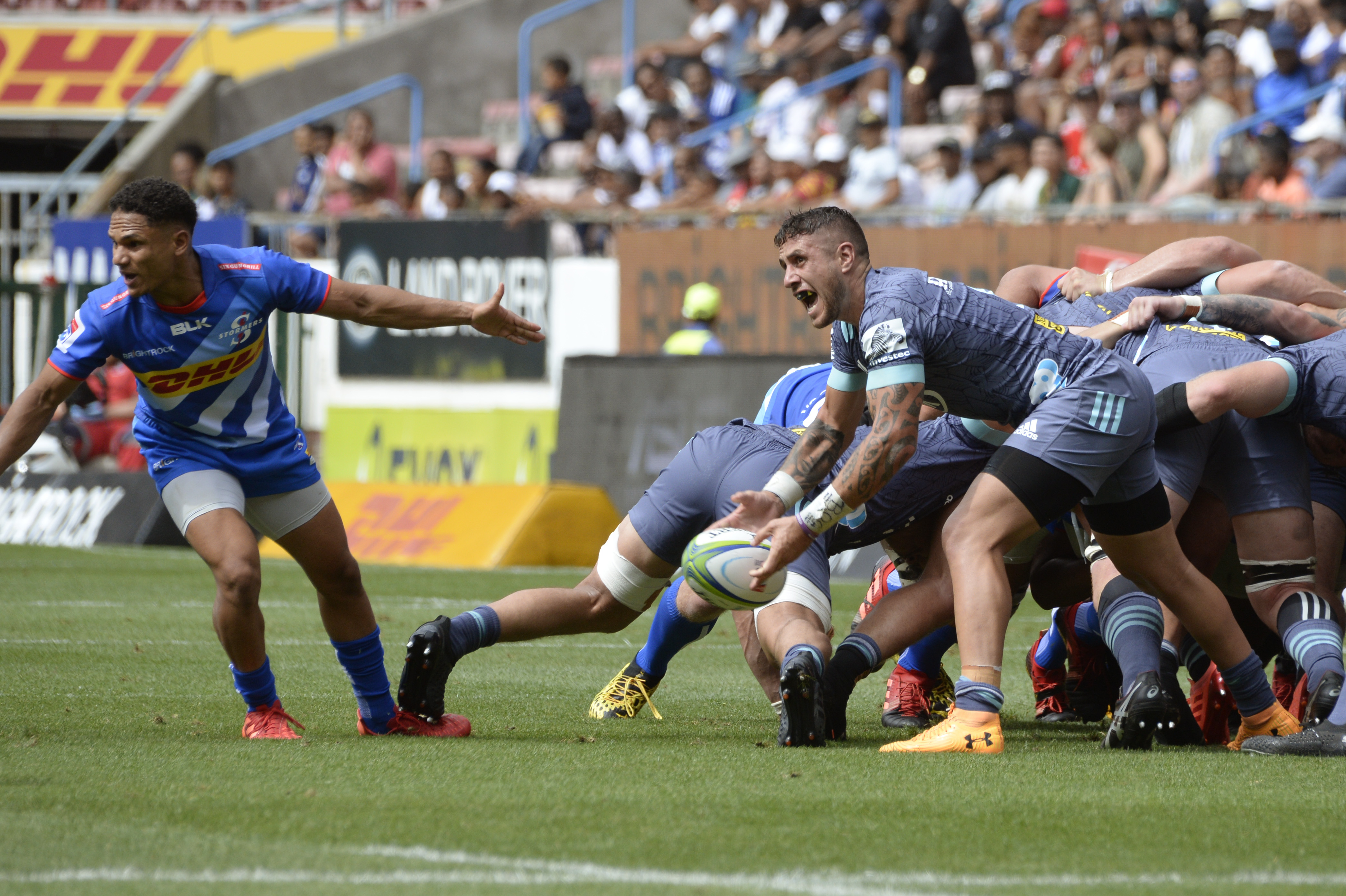 Hurricanes vs Sharks Betting Tips, Preview & Predictions Momentum