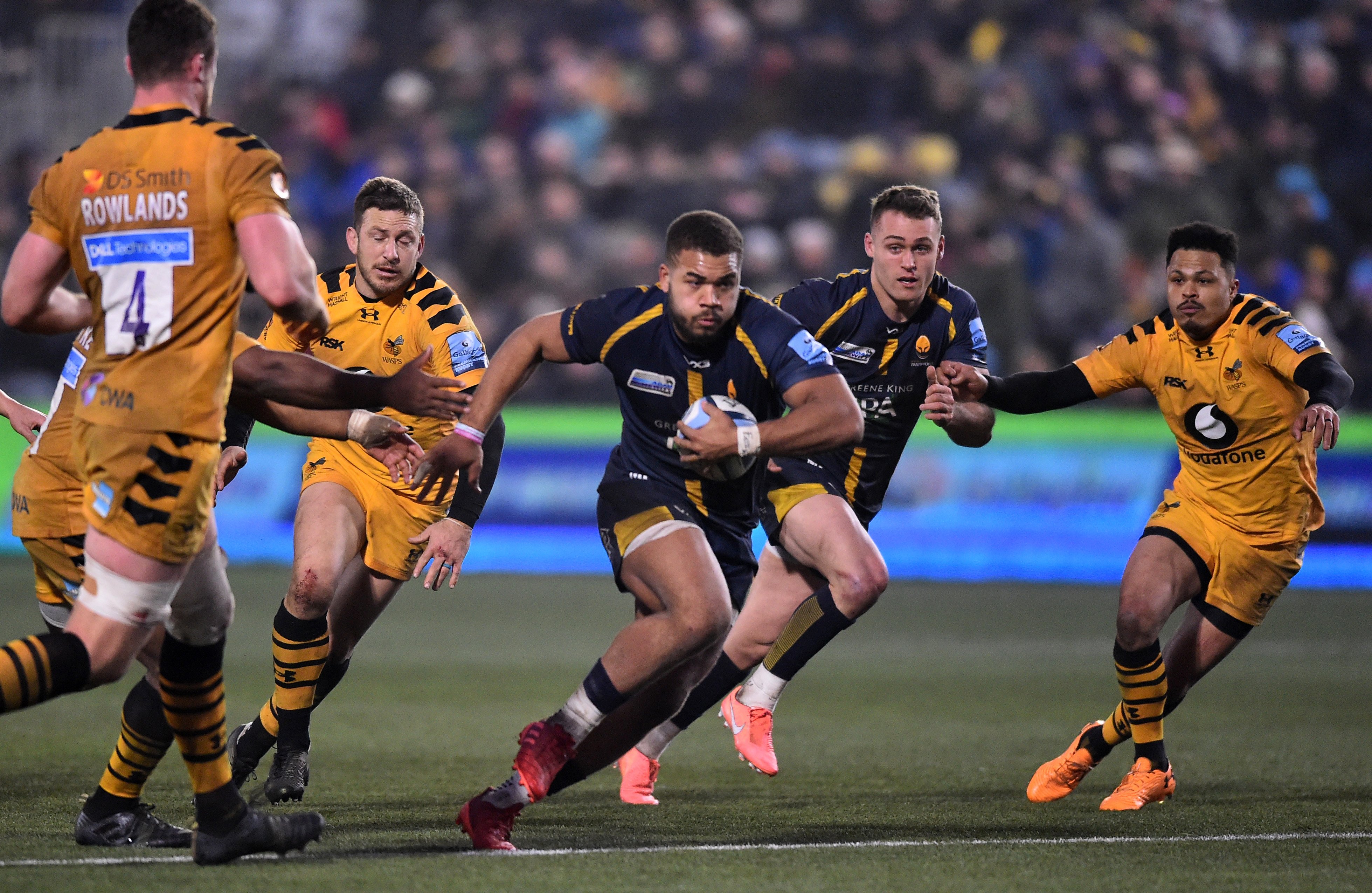 Wasps rugby