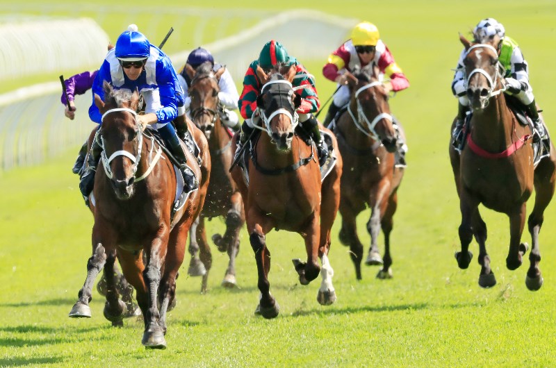 15.02.2020 Randwick Racing Preview for freetips.com