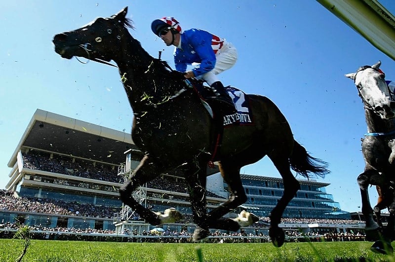 2003 melbourne cup 2003 melbourne cup