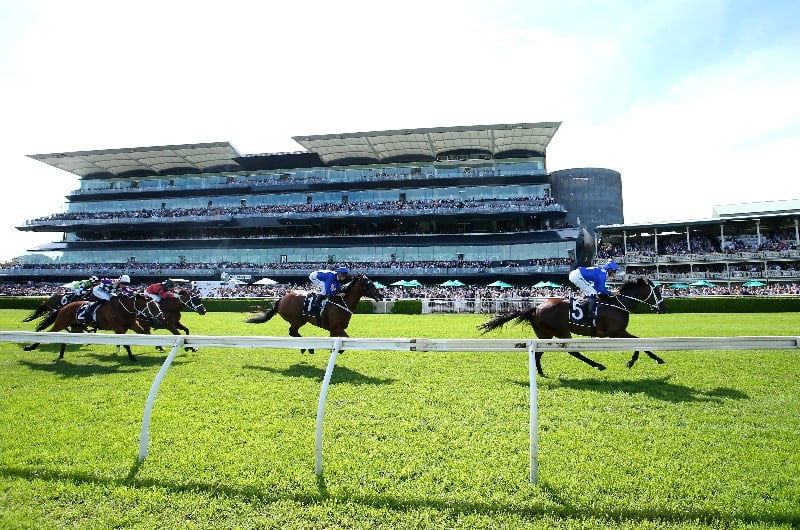 Randwick Racing Preview, Predictions and Betting Tips for 15.2.2020