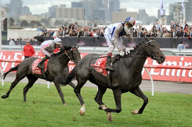 americain melbourne cup americain melbourne cup