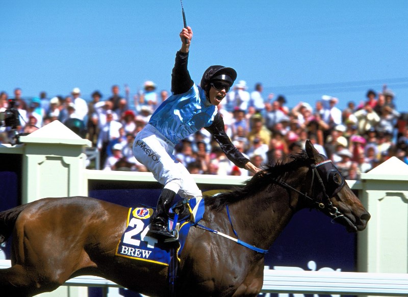 brew melbourne cup brew melbourne cup