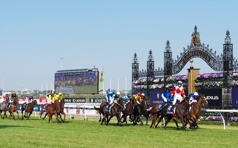 Melbourne Autumn Carnival Betting Tips, Previews & Expert Tipsters