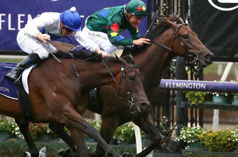 Horses For The Blackbook From Black Caviar Lightning Stakes Day 2020