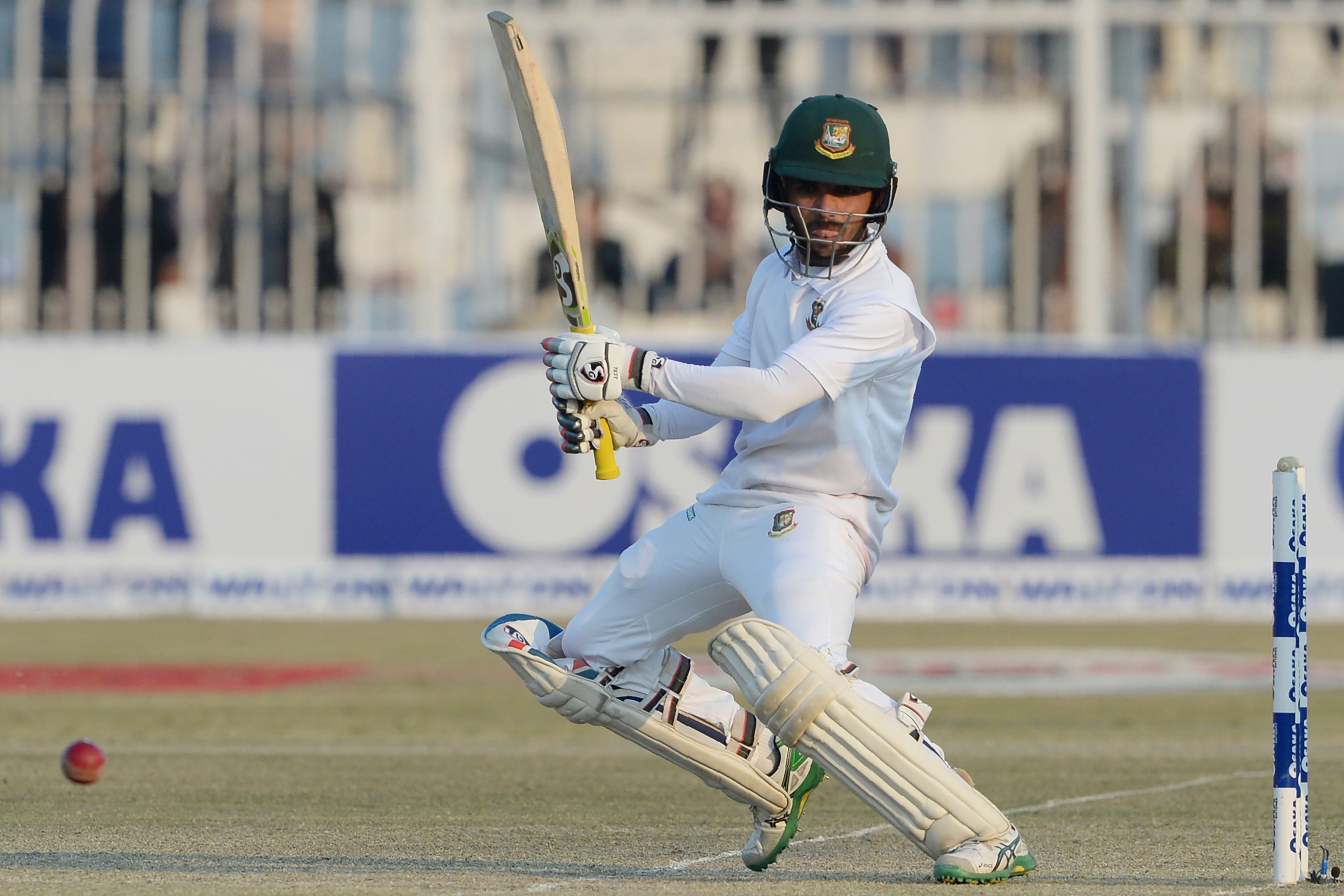 Mominul Haque