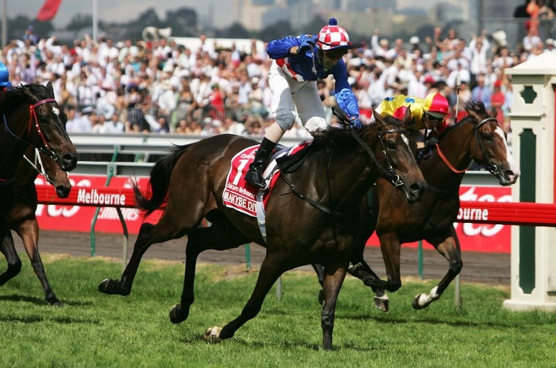 makybe diva makybe diva