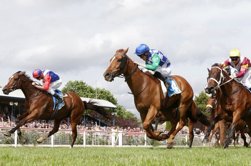 Horse Racing