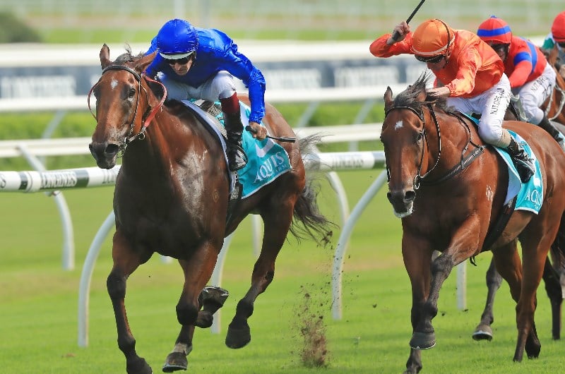 Horse Racing Horse Racing