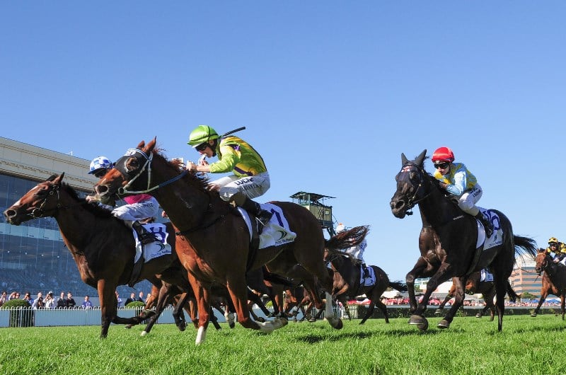flamberge oakleigh plate