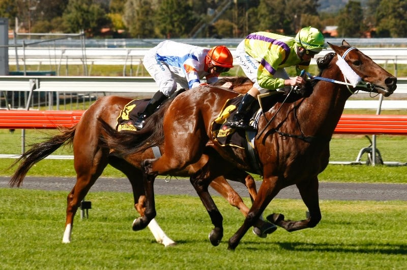 Port Lincoln Tips - Racing Tips & Selections For Sunday 23.2.20