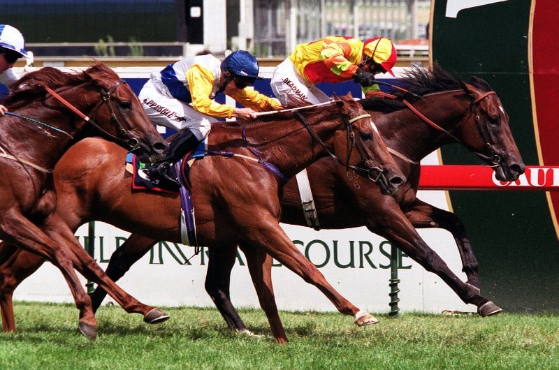 five famous Blue Diamond Stakes Winners