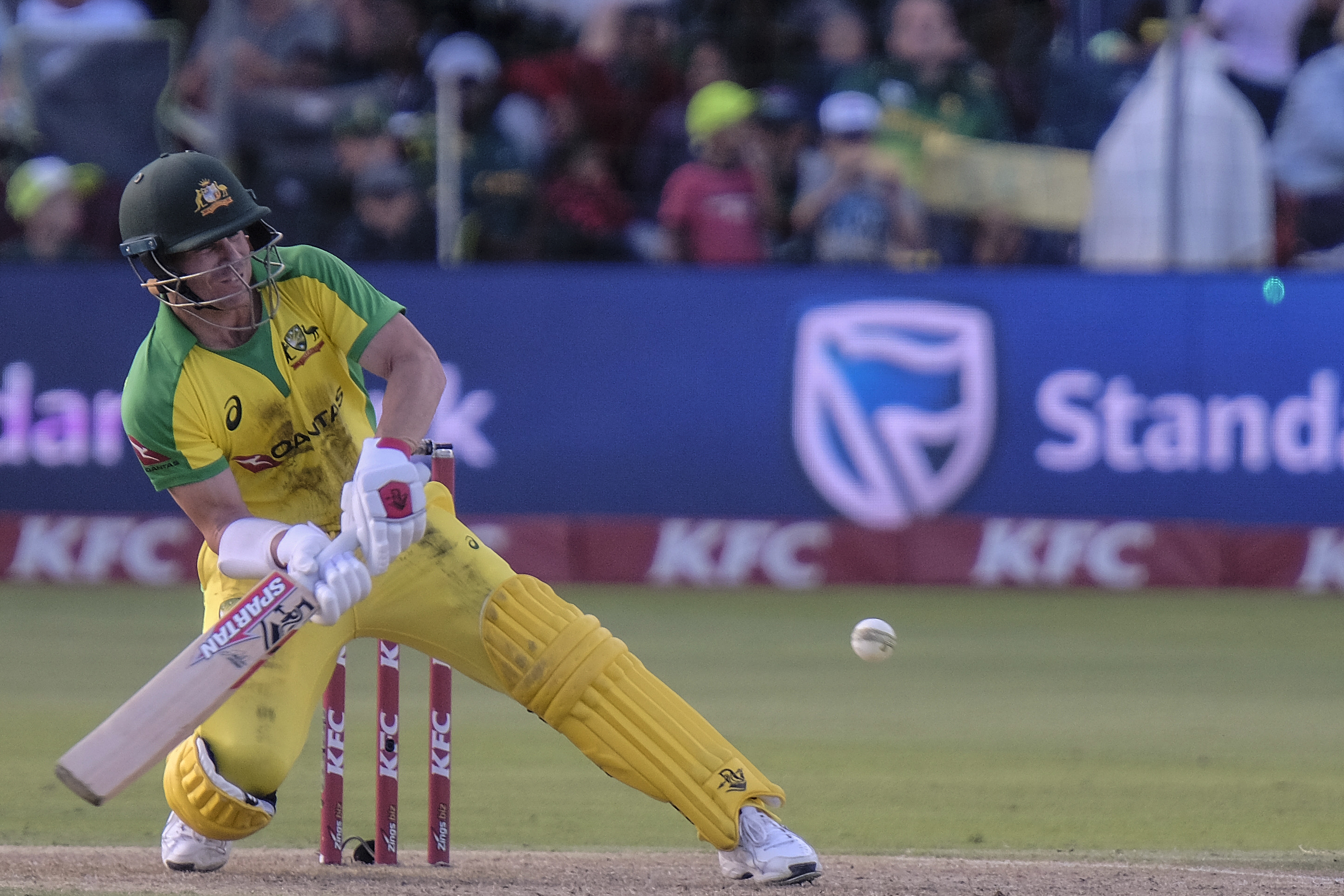David Warner