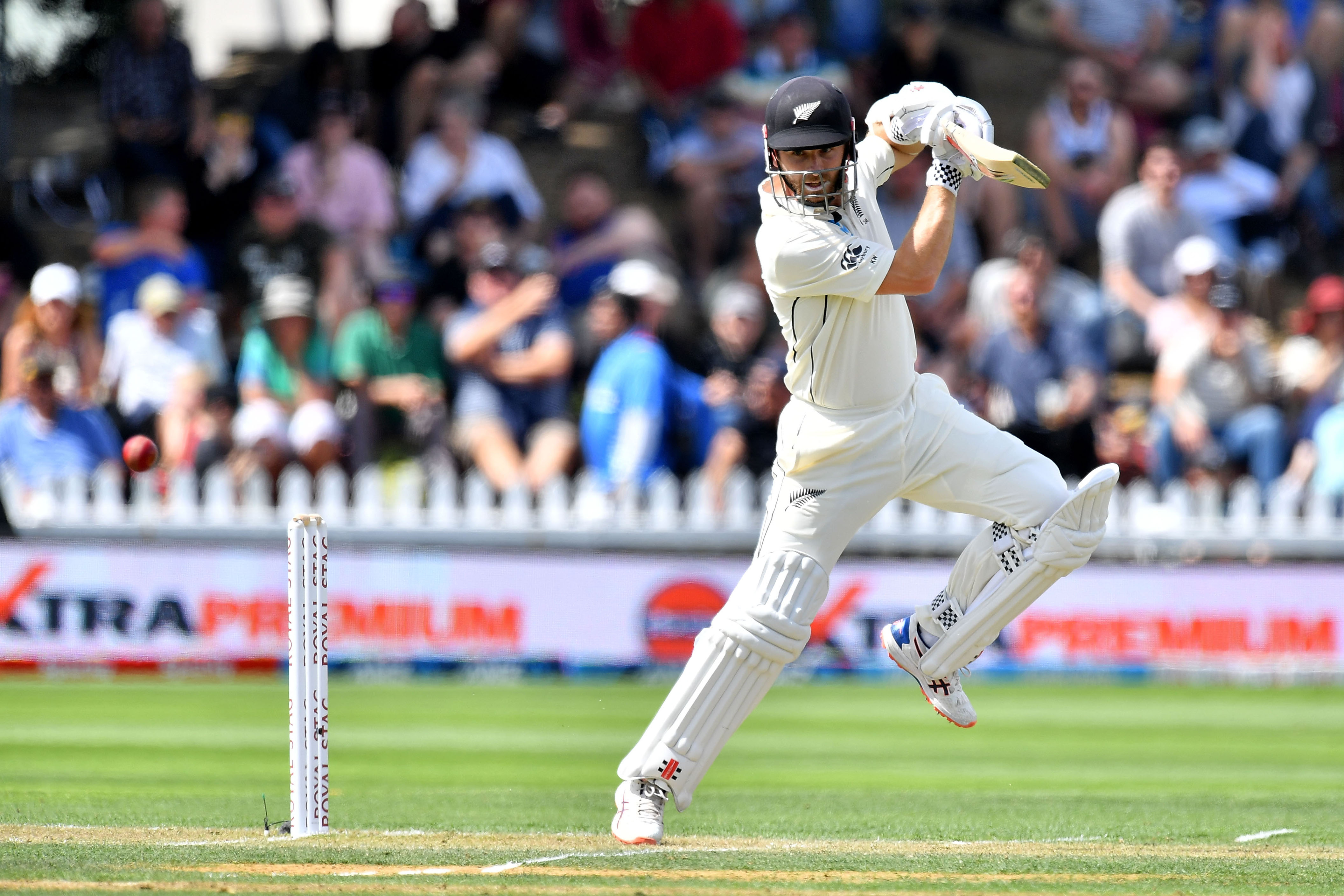 kane williamson