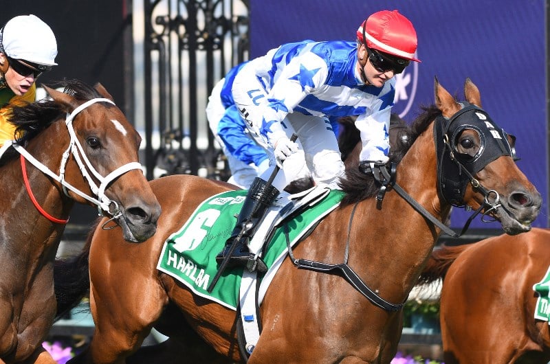 2020 Australian Cup Tips - Racing Tips & Selections