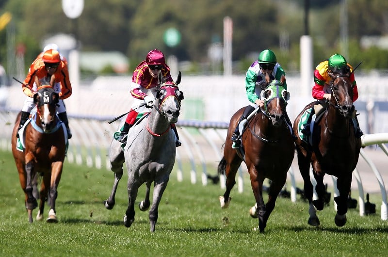 Ararat Tips - Horse Racing Tips & Selections For Friday 6.3.20