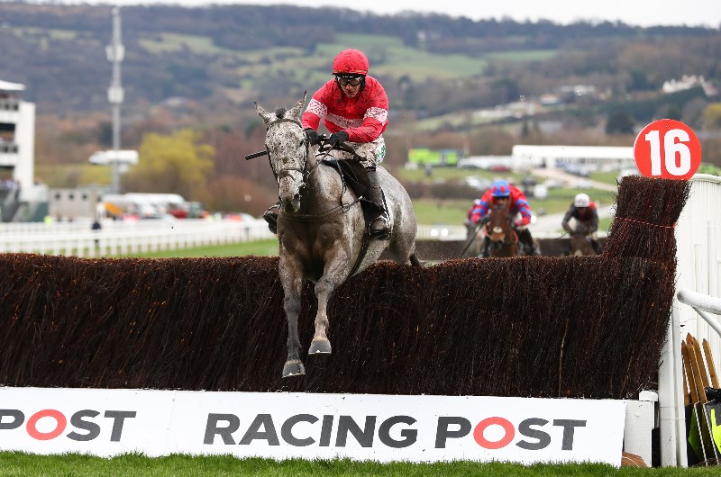 Arkle Chase Tips