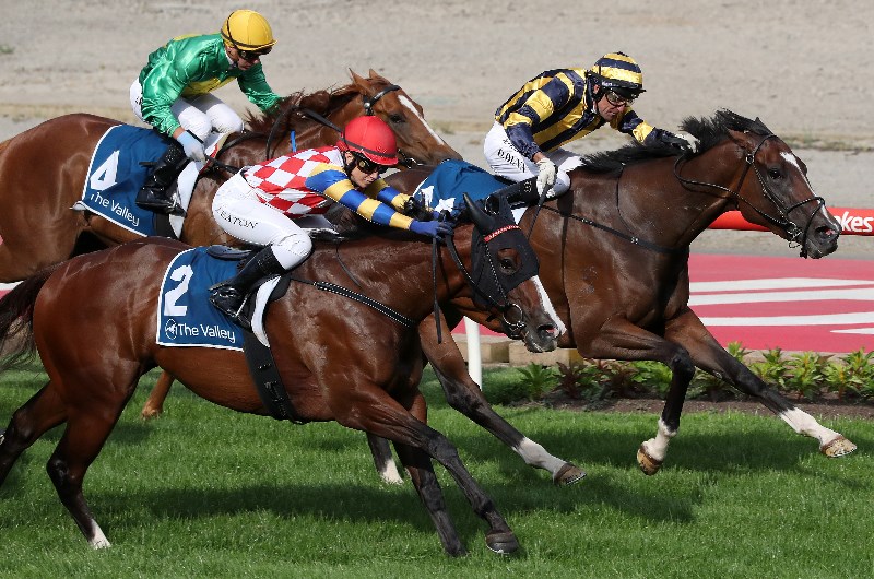 Kyneton Tips - Horse Racing Tips & Selections For Thursday 5.3.20