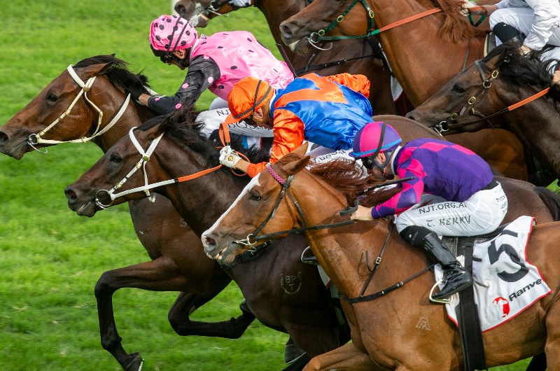 Port Macquarie Racing Tips for 05.023.2020