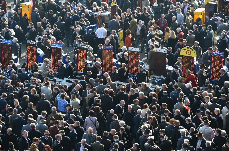 cheltenham festival