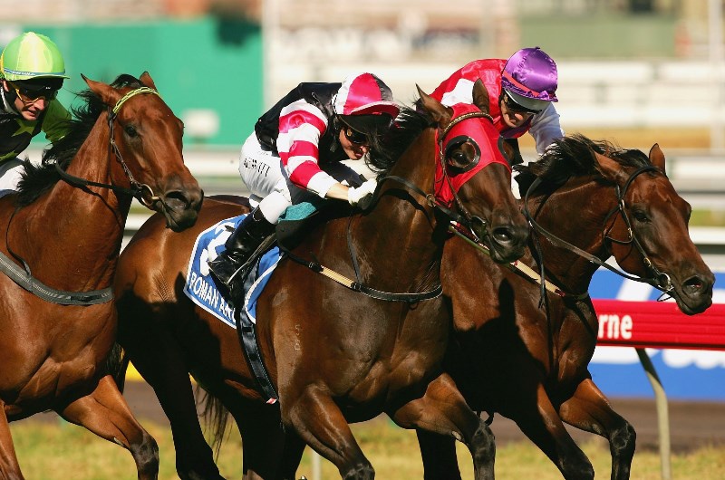 roman arch australian cup roman arch australian cup
