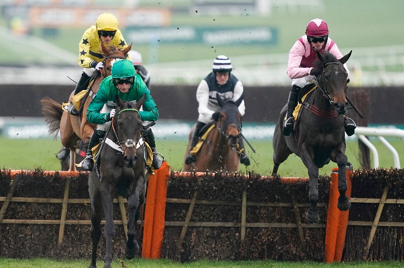 the champion hurdle cheltenham