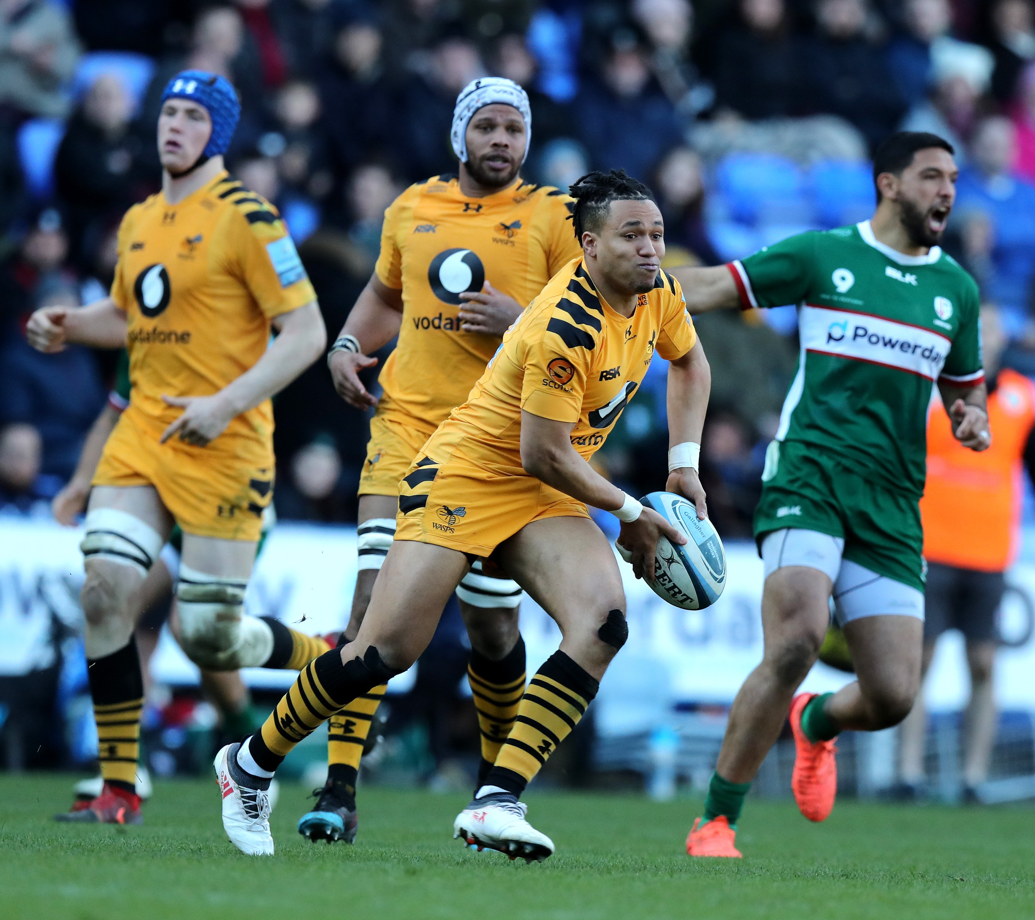 wasps rugby