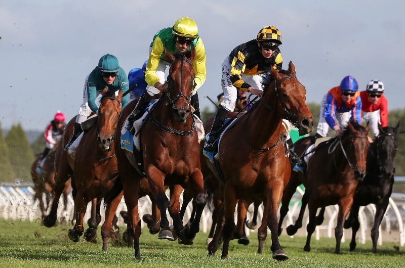Ascot Racing Tips for 07.03.2020