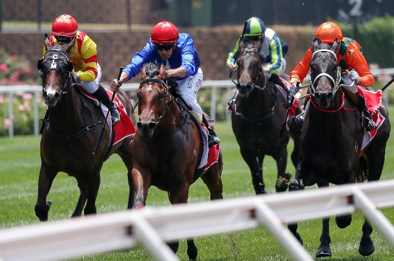 Australian Cup Day 2020 Tips - Horse Racing Tips & Selections