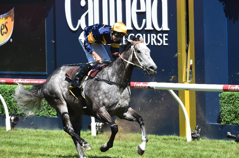 Chautauqua Chautauqua