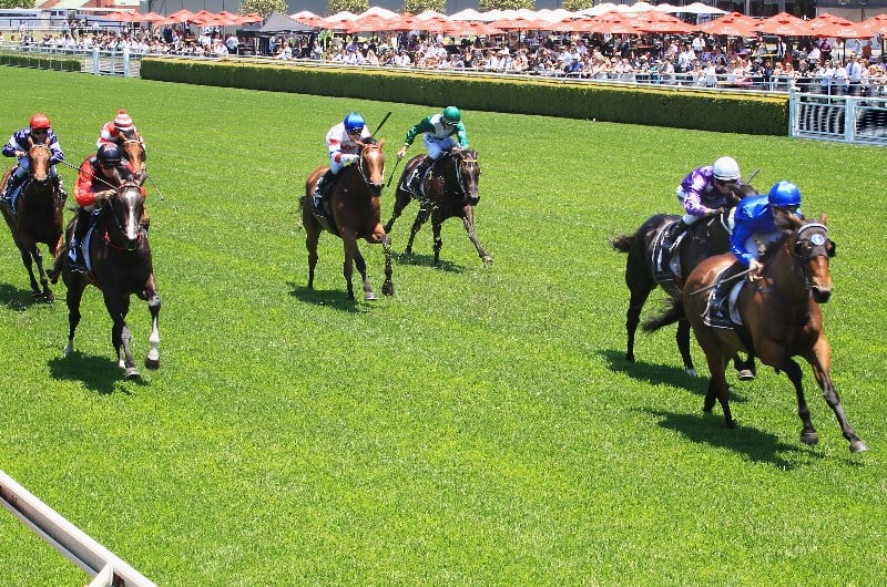 Newcastle Racing Tips for 06.02.2020