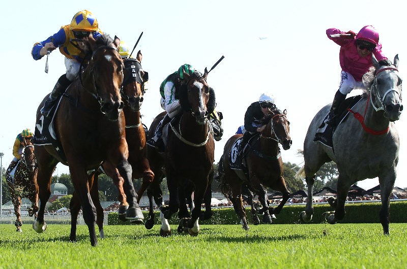Randwick Racing Preview For March 7th 2020 Fasika to show her Quality