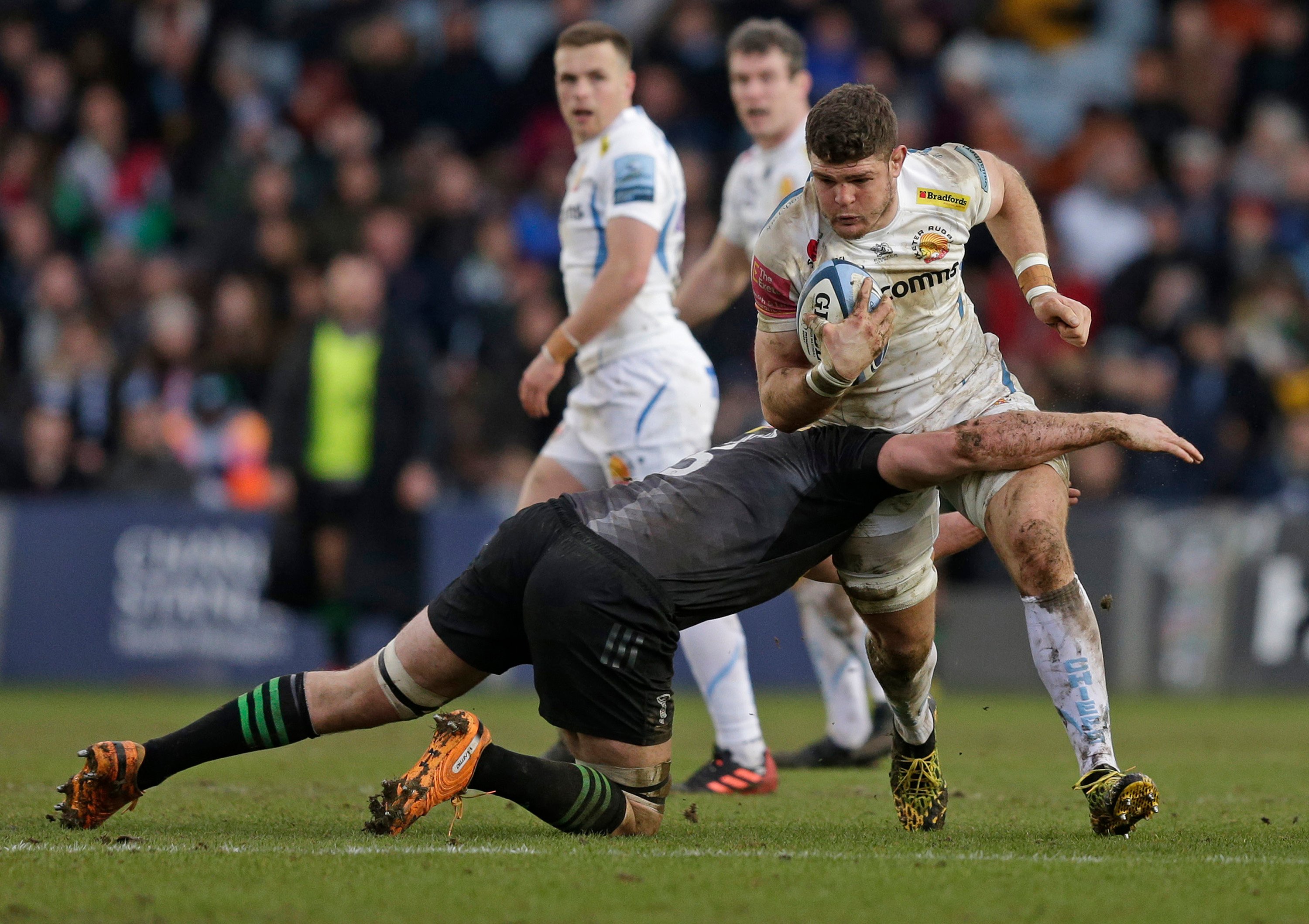 exeter chiefs
