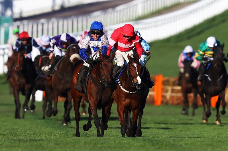 Mares Hurdle cheltenham