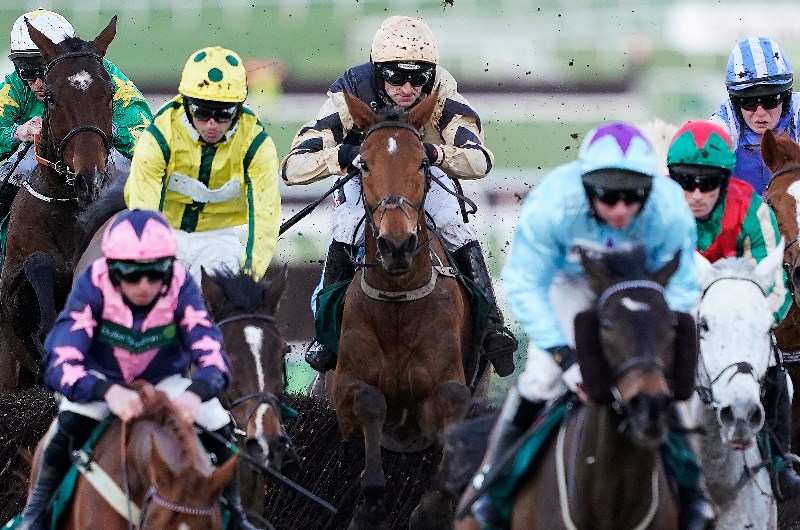 National Hunt Chase Cheltenham 2019