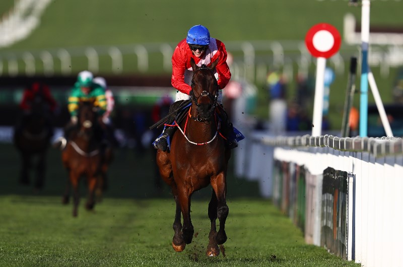 novices handicap chase cheltenham