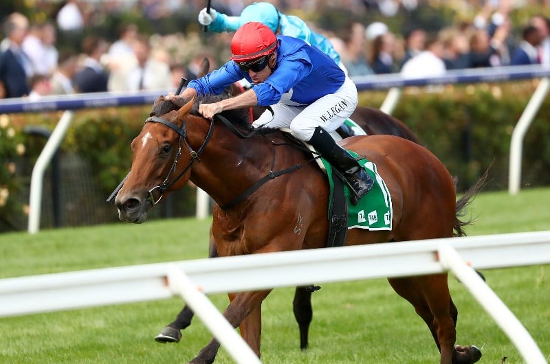 Big Bets Results from 07.03.2020