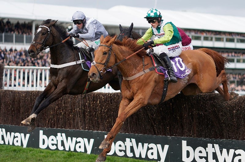 RSA Novices Tips