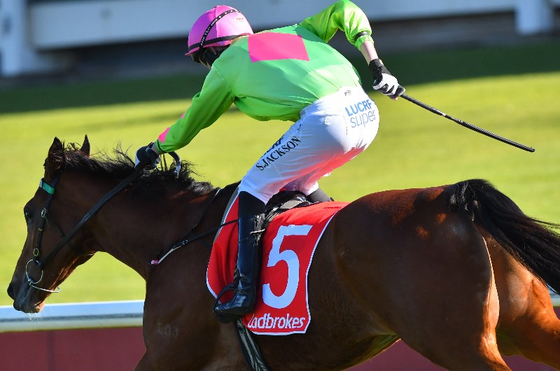 Sandown Tips - Horse Racing Tips & Selections For Wednesday 11.3.20