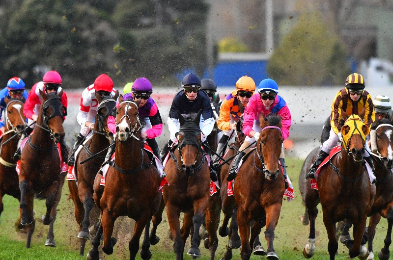 Ascot Racing Tips for 11.03.2020