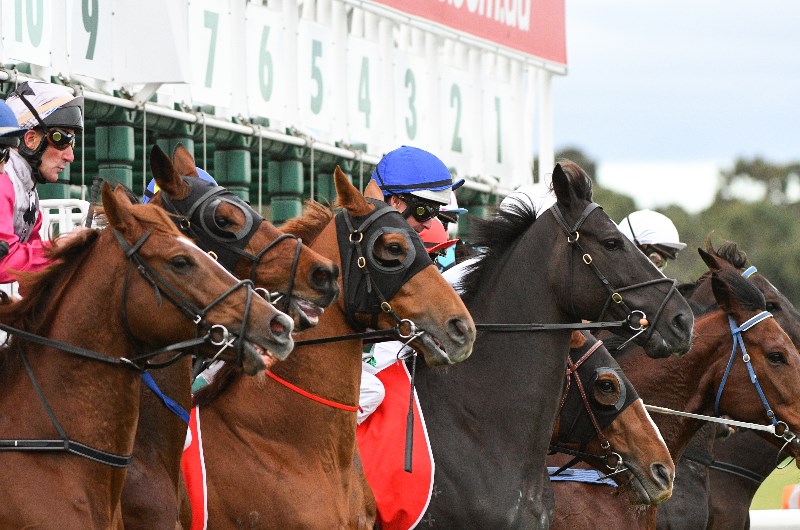 Best Bets for 11.03.2020